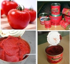Sell Tomato Paste with Canned Packing