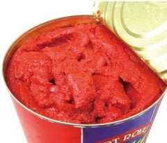 Sell Tomato Paste with Canned Packing
