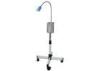 Cool Light Stand Professional Teeth Whitening Lamp for Discoloration Treatment