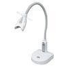 Professional Teeth Whitening Lamp For Intrinsic / Extrinsic Tooth Discoloration