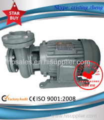 Electric In-Line Water Pump