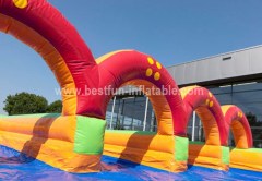 Custom Slip N Slide Inflatable