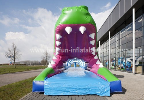 Inflatable crocodile slip pool