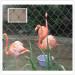 Wire Rope Mesh Fence For Wildlife Zoo Park
