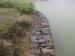 pe coated wire pe gabion pe coated gabion