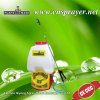 20L electric backpack sprayer