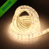 Hot selling factory wholesale warm white led strip light 5050