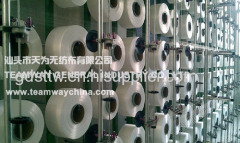 Shantou Teamway Nonwoven Co., Ltd