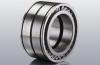 SL045030PPFull complement Cylindrical roller bearing