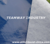 Teamway Laminated Stitch bond Non woven Fabric