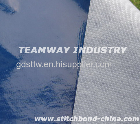 Teamway Laminated Stitch bond Non woven Fabric