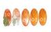 3M adhesive Epoxy Dome Stickers , 3D Soft / hard PU dome sticker