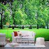 Green Fashion Custom Size Interior Decoration Wallpapers, Whole Wall Decals XB04-008S