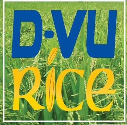 D-VU RICE COMPANY (VURICE)