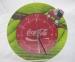 Customized 12" Green Red Kitchen Wall Decoration Clock 5mm Thick