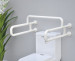 handicap toilet grab bars