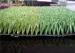 soccer artificial turf coloured artificial grass