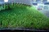 PE & PP Natural Looking Green Soft Garden Artificial Grass Turf Lawns 30mm