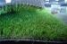 outdoor artificial grass fake grass for garden
