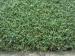 Durable Backyard Golf Putting Greens Artificial Grass For Sports , Outdoor Turf Grass