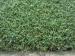 Nature Look Monofliment Golf Course Artificial Turf For Putting Greens Recyclable