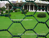 Hexagonal wire netting fence
