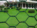 Hexagonal wire netting fence