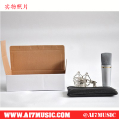 AI7MUSIC Professional Condenser Microphones