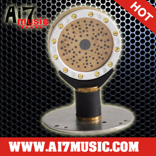 AI7MUSIC Voice Head of Microphones