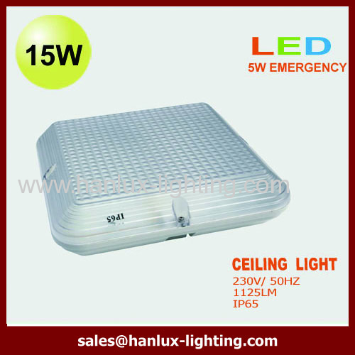 IP65 CE LED ceiling light