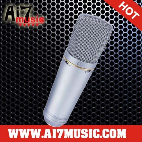 AI7MUSIC Professional Condenser Microphones