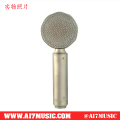 AI7MUSIC Professional Condenser Microphones