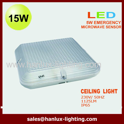 IP65 CE LED celing lamp
