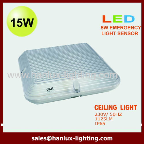 IP65 CE SMD LED ceiling light