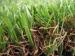 Natural looking Landscaping Artificial Grass 30mm / Synthetic Grass 4 color