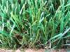 Economical Landscaping Artificial Grass Synthetic Lawn For Sports , PP + net cloth