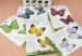 butterfly / lovely sticky note