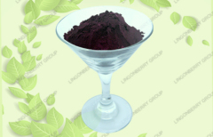 Blueberry anthocyanin / Specification: 5%---25%