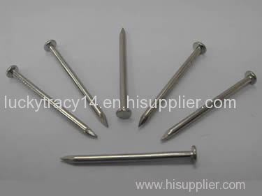 high quality Common Nail