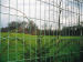 Export Welded Wire Fence