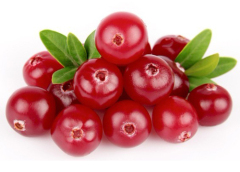 Cranberry Juice Powder / Latin Name: Vaccinium Macrocarpon L.