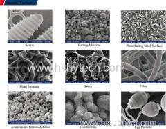 Textile Scanning Electron Microscope