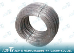Silver Grey 2000mm gr2 gr5 Titanium Alloy Wire for Fastener