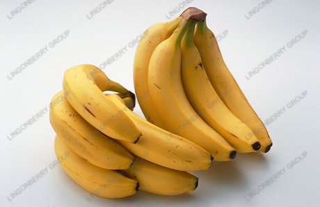 Banana juice powder / Latin Name: Musa nana Lour.
