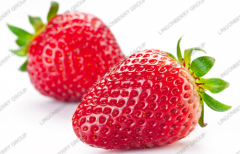 Strawberry juice powder / Latin Name: Fragaria ananassa Duch.