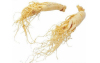 Ginseng / Latin Name: Panax Ginseng C.A. Meyer