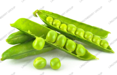 Pea protein isolated / Latin Name: Pisum sativum Linn.