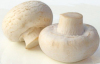 Wild white mushroom extract