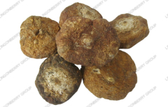 Maca extract / Latin Name: Lepidium Meyenii