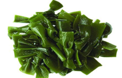 Fucoxanthin / Latin Name: Undaria pinnatifida